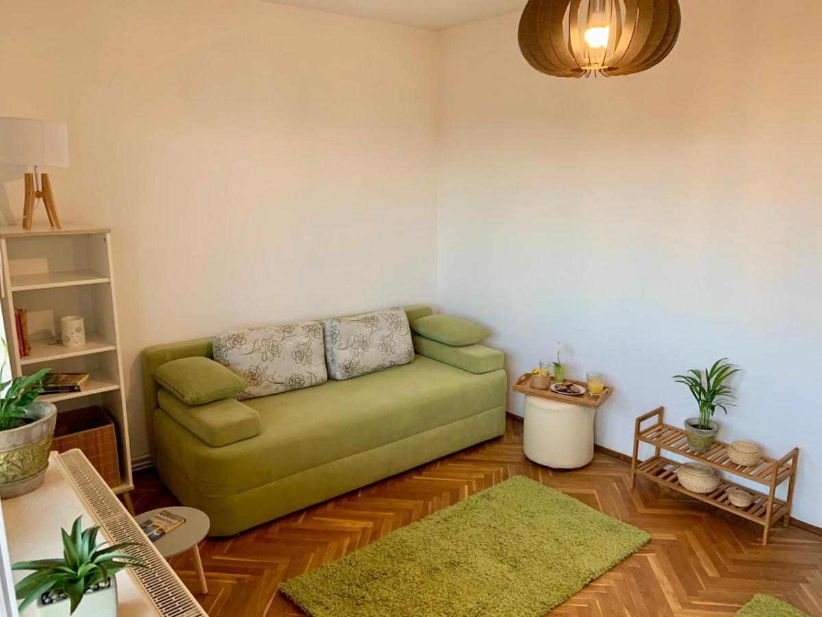 Viktory Apartment Brașov Exterior foto