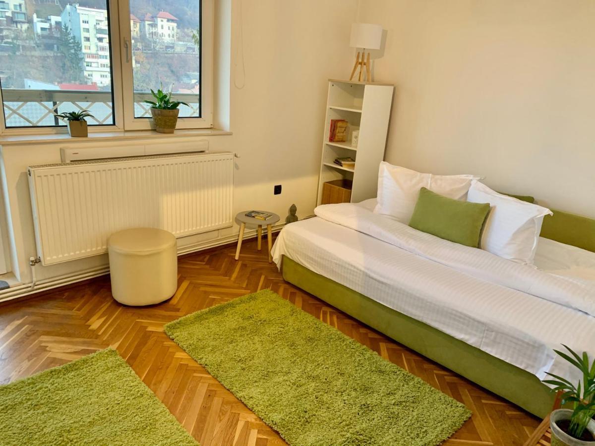 Viktory Apartment Brașov Exterior foto