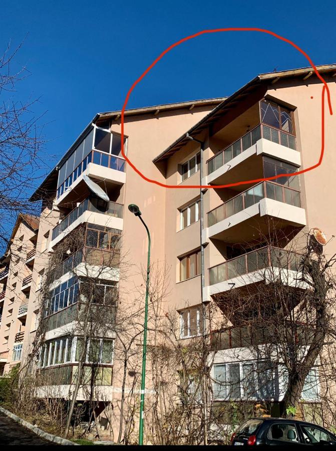 Viktory Apartment Brașov Exterior foto